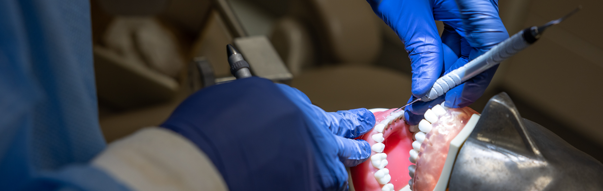 A dental hygienist student at FDTC practices dental techniques on a practice mouth