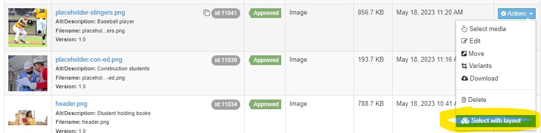 Screenshot showing select with layout option