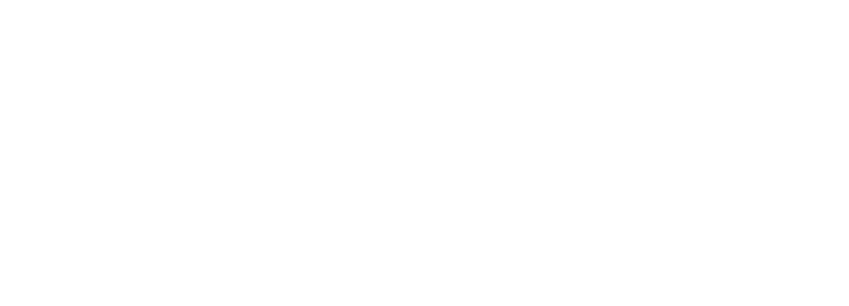 FDTC Logo White
